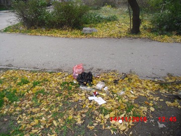 ул. Меньшикова (6)